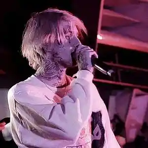 Picture for song '[FREE] Lil Peep Type Beat "Falling" Guitar Beat' by artist 'Cort Beats'