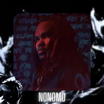 Picture for song '"NONOMO" Tee Grizzley & Babyfxce E Type Beat' by artist 'D V 1 R V E R S BEATS'