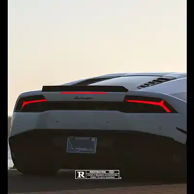Picture for song 'Franquicia - Guitar Trap Beat' by artist 'IceDavid Beats'