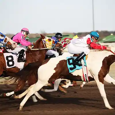 Picture for song 'travel like jockeys' by artist 'michael eddings'