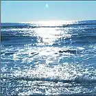 Picture for song 'Oceaniac' by artist 'Penguin Bomb'