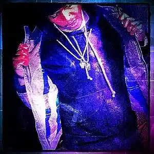 cover pic