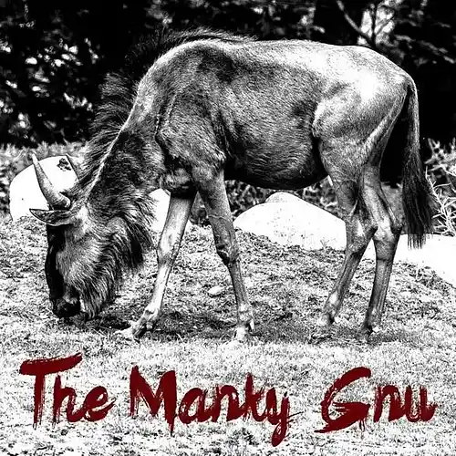 Picture for song 'Blood Brothers' by artist 'The Manky Gnu'