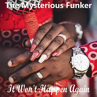 Picture for song 'It Won't Happen Again' by artist 'The Mysterious Funker'