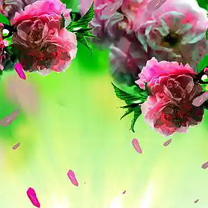 Picture for song 'Delicate' by artist '2uo8eats'