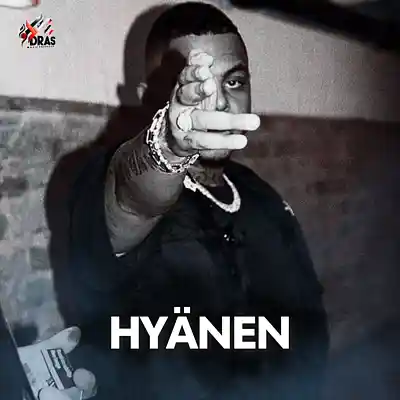 Picture for song 'HYÄNEN W/ HOOK 1+4 Sad x Piano x German' by artist 'Dras On The Beat'