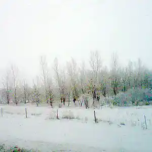 Picture for song 'Drift' by artist 'Jimi Sweeney'