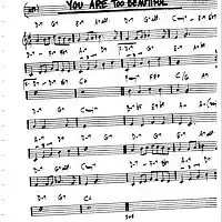 Picture for song 'You Are Too Beautiful' by artist 'Marc Halikas'