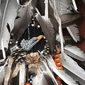 Picture for song 'Free Bird (cover Skyryrd)' by artist 'Rick Smerage'