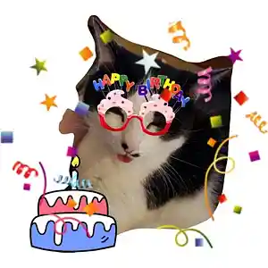 Picture for song 'Happy Birthday Larry' by artist 'Traces of Soy'