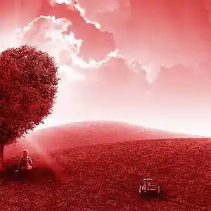 Picture for song 'The Heart Into Mine' by artist '2uo8eats'