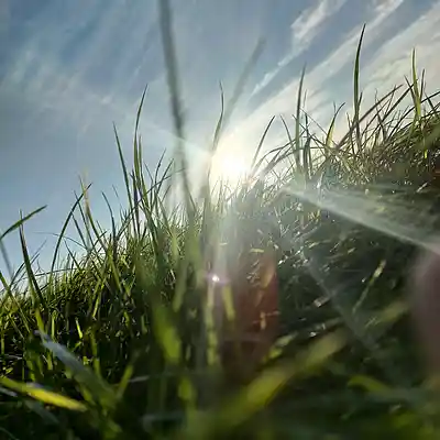 Picture for song '20240831_184339_einfachSioWartend_fs' by artist '786 scheint-Al'lahs Bande'