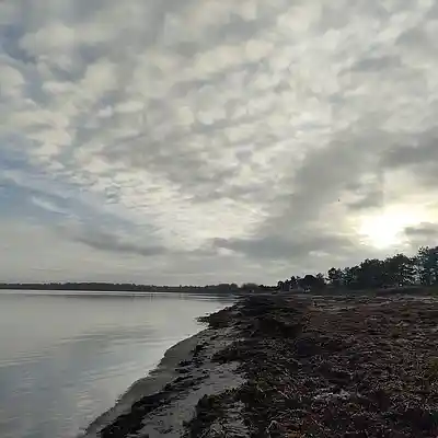 Picture for song '20241124_142238_FS_enjoying_the _station' by artist '786 scheint-Al'lahs Bande'