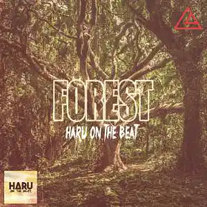 Song picture