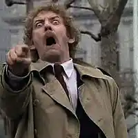 Picture for song 'Deep Floyd 299-Without Self' by artist 'Jammer59'