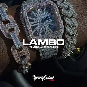 Picture for song '"LAMBO" - Big 30 x Big Scarr x Memphis Type Beat' by artist 'Young Snake Beats'