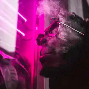 Picture for song 'Travis Scott Type Beat' by artist 'Lipfi'