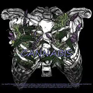 Picture for song 'Cannabis' by artist 'Sonaivy'