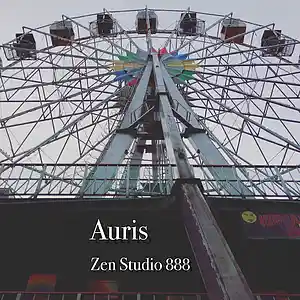 Picture for song 'Auris' by artist 'Zen Studio 888'