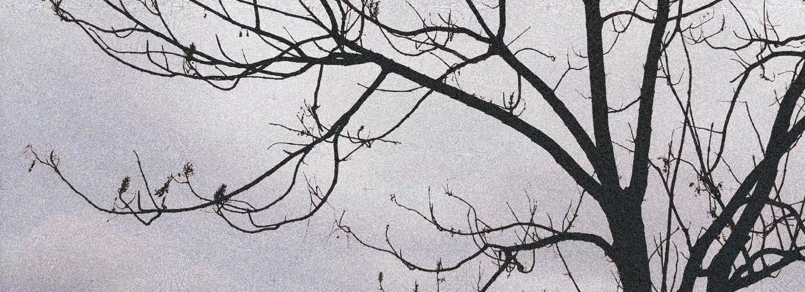 cover pic