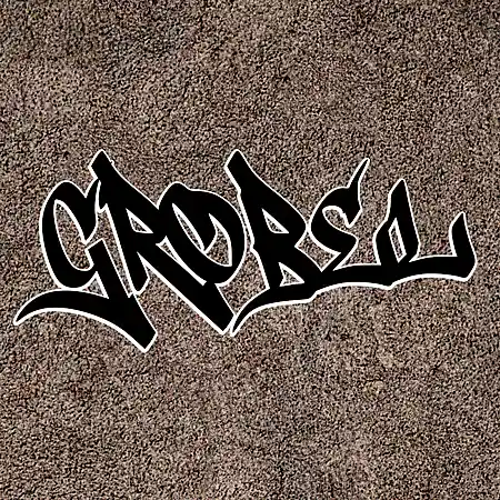 cover pic