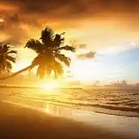 Picture for song 'G(. . )G- Paradise $NEW$' by artist 'Golden Gramz'
