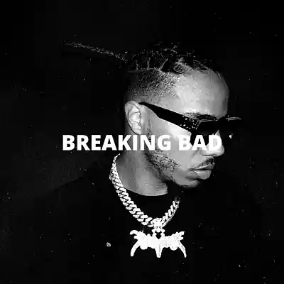 Picture for song 'Breaking Bad (Buy 1 Get 10 Free)' by artist 'Kontraa'