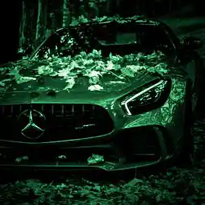 Picture for song 'Forest (Boom Bap x Piano)' by artist 'Puls Ever'