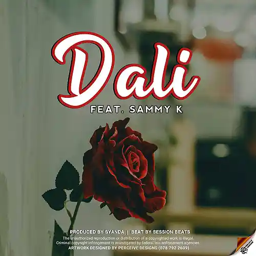Picture for song 'Dali' by artist 'Sammy K'