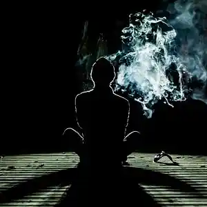 Picture for song 'Prison of The Soul' by artist 'Thomas von Zig'