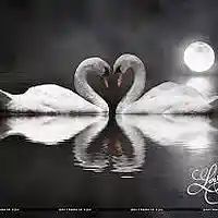 Picture for song 'My Love' by artist 'Two Old Guys with Nothin Better to Do'