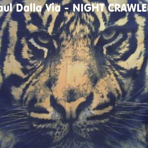 Picture for song 'Fly Away ( into the night )' by artist 'Paul Dalla Via'