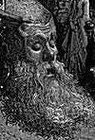 Picture for song 'Wake the Giant Inside' by artist '2000 AM'