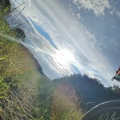 Picture for song '20240710_213754_gbs_FSDasSteHT_fs' by artist '786 scheint-Al'lahs Bande'