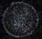 Picture for song 'Milky Way' by artist '7StringJazz'