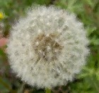 Picture for song 'Overture' by artist '7StringJazz'