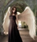 Picture for song 'Angel me Dio Alas (Instrumental)' by artist 'Absrapper99'