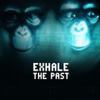 Picture for song 'Exhale the Past' by artist 'Accidentist'