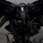Picture for song '*TRAP BANGER* - "Crow" - HARD AS FVCK' by artist 'Afrokeys'