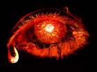 Picture for song 'Shark' by artist 'Agent Orange 4120'