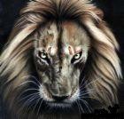 Picture for song 'LiOnHeArT' by artist 'Foul Bundy'