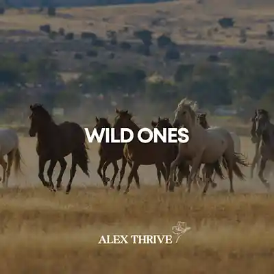 Picture for song 'Country Type Beat Chris Stapleton Wild Ones' by artist 'Alex Thrive Music'