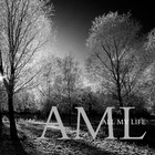 Picture for song 'this winter will end (acoustic)' by artist 'All My Life'