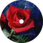 Picture for song 'Love So Bold' by artist 'Andybob's Country Music'