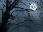 Picture for song 'Love never dies' by artist 'Angelika and Demons'