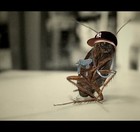 Picture for song 'Long Walk Home' by artist 'Apex Predator'