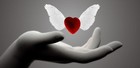 Picture for song 'Undying Love (Prod. By Armen Grigoryan)' by artist 'armenbeats'