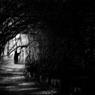 Picture for song 'From Within (Dark/Grimey/Hood) Free DL!' by artist 'Arson Of ENCORE'