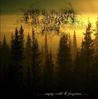 Picture for song 'From The Sunset, Forest And Grief - Broken Lights' by artist 'Asfigmia'