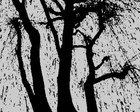 Picture for song 'tears for tamiko' by artist 'A Tumbling Head'